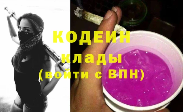 соль ск Новозыбков