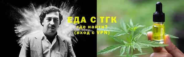 соль ск Новозыбков