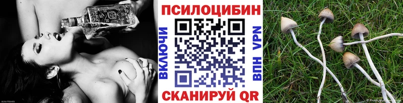 Галлюциногенные грибы Cubensis  Усть-Лабинск 
